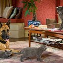 ���� "@����", �����-���������, 25 ��� - ��������� 26 ������� 2010 � ������ �Catc &amp; Docs�