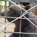 ���� ��������, ������-�������� - ��������� 6 ������� 2010 � ������ �������