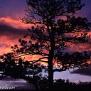  Karen, , 53  -  19  2012    