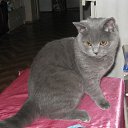 ���� �����, ������, 39 ��� - ��������� 2 �������� 2010 � ������ ���� ����������