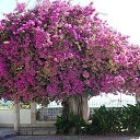 ���� ����� ���������, ���� - ��������� 31 ������ 2013 � ������ ���� ����������