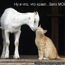 ���� ����, ������, 53 ���� - ��������� 26 ������ 2012