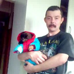 ���� Vit, ������ - ��������� 2 ������� 2013