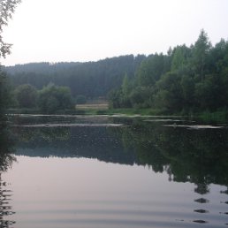 ���� ������, ������������, 51 ��� - ��������� 12 ������� 2010