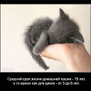 ���� ����� �., �����������, 43 ���� - ��������� 8 ������� 2010 � ������ ����������� ))�