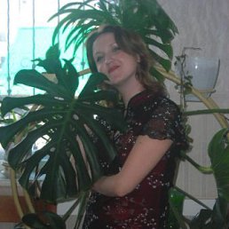 �����, ������, 45 ���