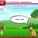  , , 46  -  11  2010   PetLove