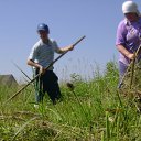 ���� ������, �����, 41 ��� - ��������� 5 ���� 2009 � ������ ���� ����������