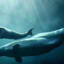 ���� ����� - ���������� ��������!!!, �����������, 56 ��� - ��������� 20 ������� 2009 � ������ ������������� ��������� � ��������� ���!�