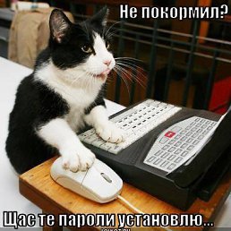 ���� ������, ������ ��������, 24 ���� - ��������� 16 ������� 2012