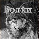 ���� �����, �����-�������� - ��������� 4 �������� 2012 � ������ �� ���� � ���� ������� ���.�