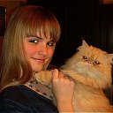 ���� �������, ��������, 26 ��� - ��������� 8 ������� 2012 � ������ ���� ����������