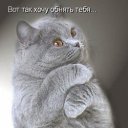 ���� ������, �����, 53 ���� - ��������� 26 ���� 2012 � ������ �������