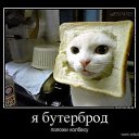 ���� ����, ���������, 46 ��� - ��������� 6 ������ 2013 � ������ ���� ����������