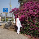 ���� �����, �������, 72 ���� - ��������� 28 ������ 2013