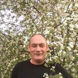 ���. ����.