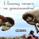 ���� �����, ������ - ��������� 19 ������ 2013 � ������ ������ ��������