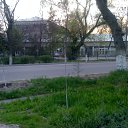  , , 43  -  31  2013    ))))