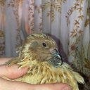 ���� �������, ������ - ��������� 30 ���� 2011 � ������ ���������