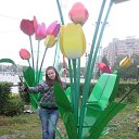 ���� �������, ����-�����������, 46 ��� - ��������� 15 �������� 2012 � ������ ���� ����������