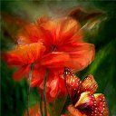  ~~,  -  4  2010   Carol Cavalaris,      .