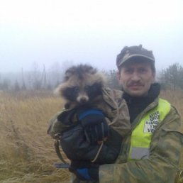 Alik, ����������