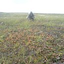 ���� ��������, ������ - ��������� 21 ����� 2012 � ������ �������� �����