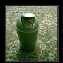 ���� ���������, �����-���������, 83 ���� - ��������� 1 ���� 2011 � ������ ������������� � �����������