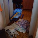 ���� ������, ����-�������, 41 ��� - ��������� 4 ������� 2010 � ������ ���� ��������