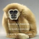 ���� ���, ���, 25 ��� - ��������� 14 ������ 2010 � ������ ���������