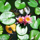 ���� Anastasiya, ��������������, 31 ��� - ��������� 16 ���� 2010 � ������ �[��� ����� �������]�