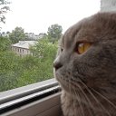 ���� Ksu, ��������� - ��������� 23 ������� 2012 � ������ ���������� ������