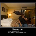 ���� ������, �����, 28 ��� - ��������� 11 ������ 2010 � ������ �������