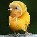  ++, , 55  -  24  2013    