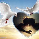 ���� ������, ������, 58 ��� - ��������� 8 ���� 2013 � ������ ���� ����������