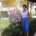  , -, 71  -  31  2013    2013