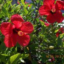 ���� ����, �����, 60 ��� - ��������� 9 ���� 2012 � ������ ��Ψ ����������� � ������ܻ