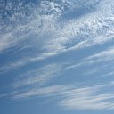 ���� ������, ������, 55 ��� - ��������� 6 ������� 2009 � ������ �������