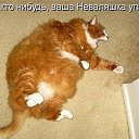 ���� ����������, �����, 24 ���� - ��������� 25 ������ 2011 � ������ ����������� �����