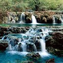 ���� �������, ��������, 57 ��� - ��������� 1 ��� 2010 � ������ ������� ��������