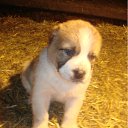 ���� ������, ���������, 61 ��� - ��������� 30 ����� 2012 � ������ ���� ����������