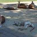 ���� ������, ������, 70 ��� - ��������� 20 ������ 2013 � ������ ���� ����������