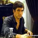 ���� ����������, �����-�������, 39 ��� - ��������� 19 ����� 2010 � ������ ���� ����������