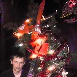 ���� �������, �������������-����������, 44 ���� - ��������� 8 ���� 2013