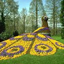 ���� Jamilya, ������� - ��������� 27 ������ 2013 � ������ ���� ����������