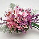 ���� ����� - ���������� ��������!!!, �����������, 56 ��� - ��������� 16 ������ 2010 � ������ ������ۻ