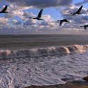 ���� �����, ����� - ��������� 29 ������ 2013 � ������ �������