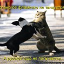 ���� ����, �����-���������, 45 ��� - ��������� 3 ���� 2011 � ������ �������������)�