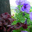 ���� �����, �������, 44 ���� - ��������� 17 ��� 2010 � ������ ������ � ���� ����