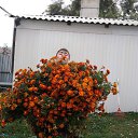 ���� ������, ������������, 47 ��� - ��������� 20 ������� 2011